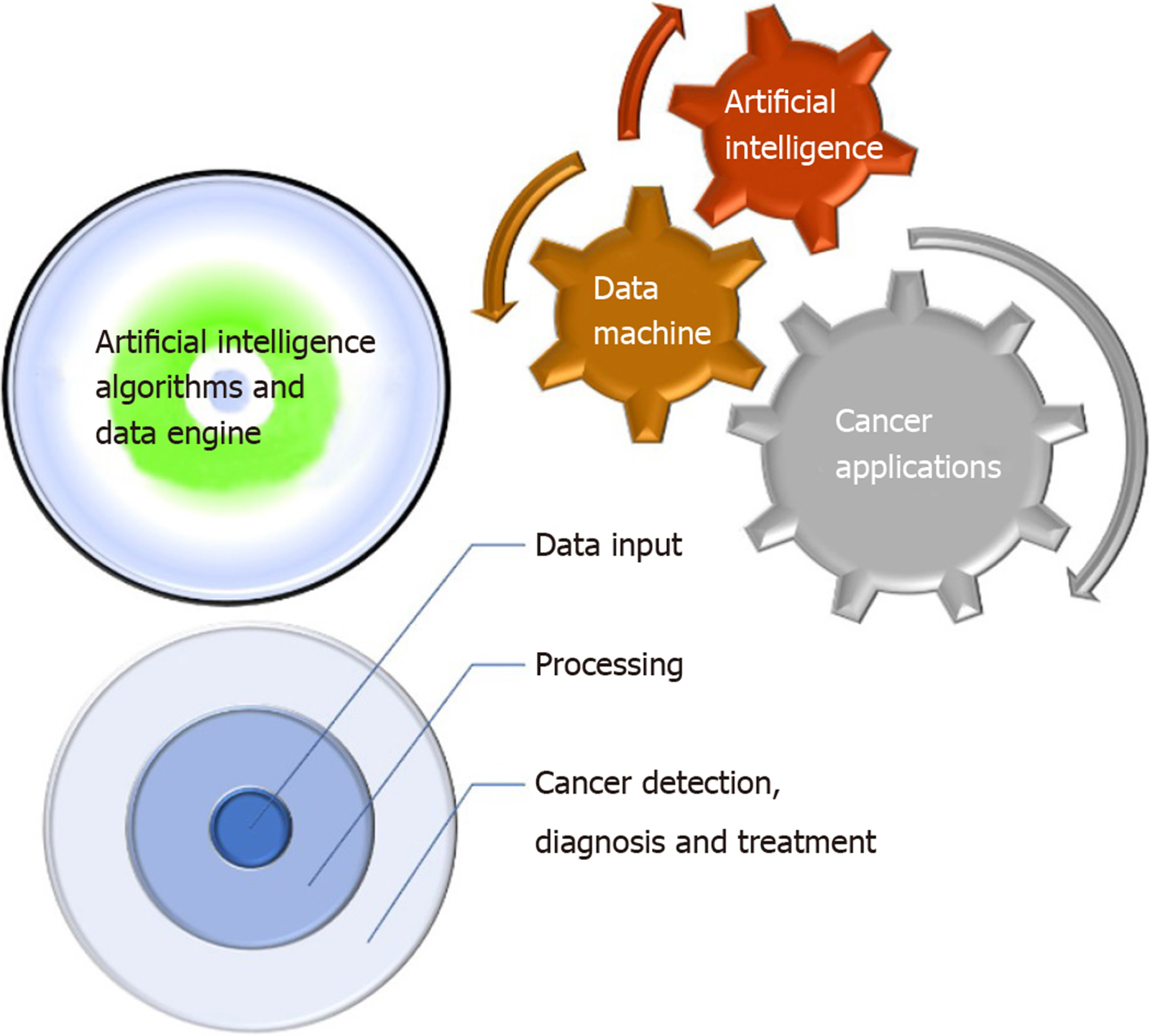 Innovative AI Software Enhances Cancer Immunotherapy Development