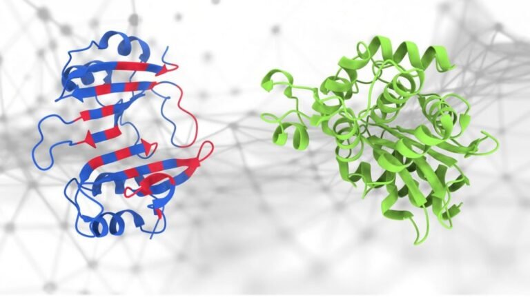 Revolutionary AI Tool Enhances Understanding of Protein Interactions in Disease Treatment Revolutionary AI Tool Enhances Understanding of Protein Interactions in Disease Treatment