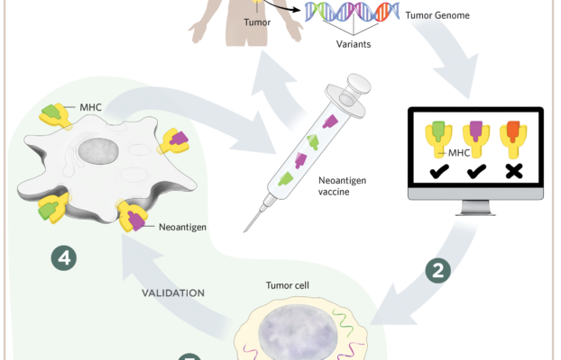 Revolutionizing Cancer Treatment AI Driven Personalized Vaccine Development