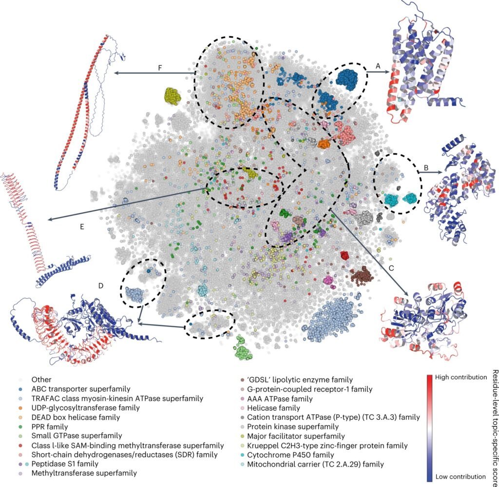 Revolutionizing Cancer Treatment with AI-Driven Protein Analysis