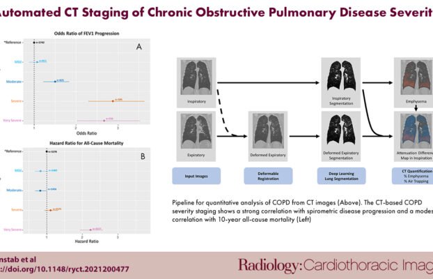 DeepLearningModelEnhancesCOPDDiagnosiswithSingleCTScan Yesil Science Deep Learning Model Enhances COPD Diagnosis with Single CT Scan