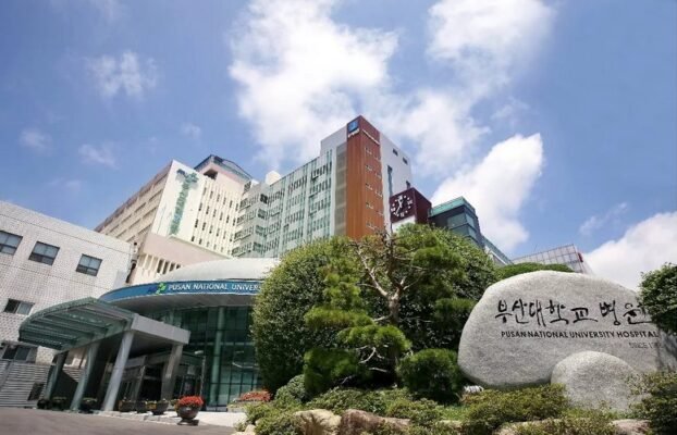 PusanNationalUniversityHospitalsAIforLungNodulesApprovedinKorea Yesil Science Pusan National University Hospitals AI for Lung Nodules Approved in Korea