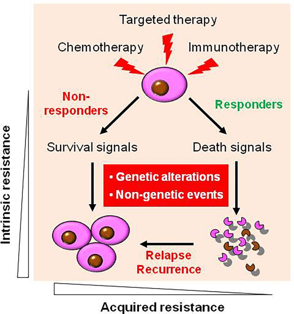 Advancements in Computer Models for Targeted Antibiotic Development