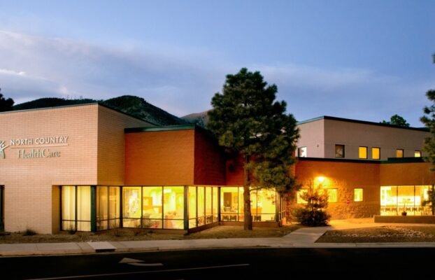 CollaborativeEffortsofHealthCenterstoAddressAIImplementationChallenges Yesil Science Collaborative Efforts of Health Centers to Address AI Implementation Challenges