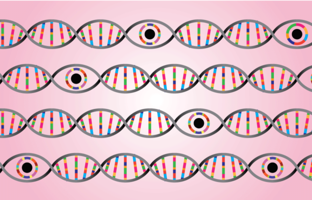 23andMe Sale Approved by Judge Amid Privacy Concerns
