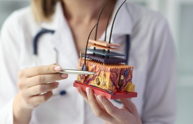 AI Enhances Pathologists’ Analysis of Skin Cancer Tissue Samples