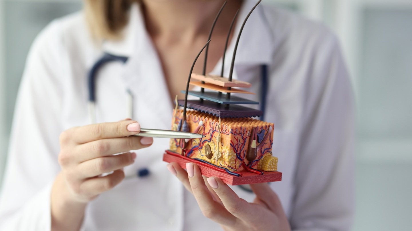 AI Enhances Pathologists’ Analysis of Skin Cancer Tissue Samples