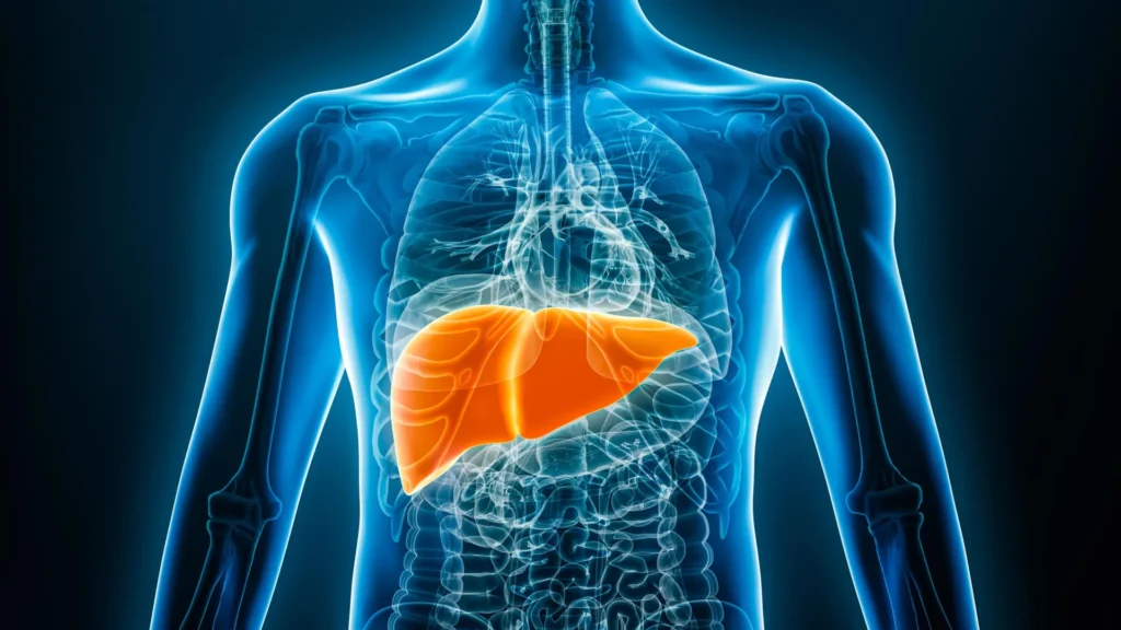 AI Identifies Fatty Liver Disease Using Chest X-Rays