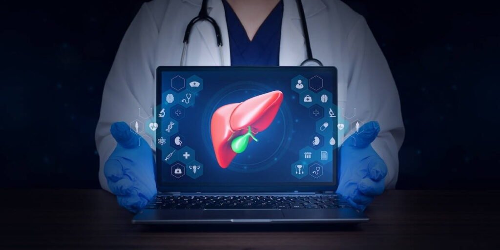 New Online Tool for Choosing AI Models for 3D Organ Imaging