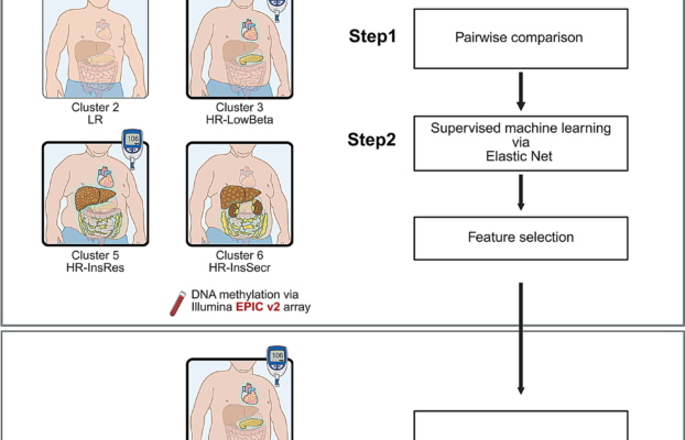 BloodBasedEpigeneticMarkersEnhanceRiskAssessmentforPrediabetes Yesil Science Blood Based Epigenetic Markers Enhance Risk Assessment for Prediabetes