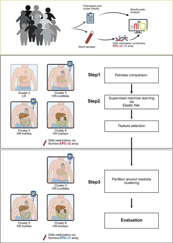 Blood-Based Epigenetic Markers Enhance Risk Assessment for Prediabetes