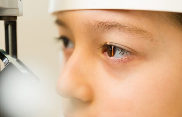 AI Enhanced Portable Eye Scanner Improves Community Screening Access