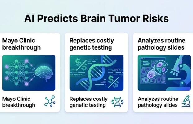 mayo clinic study shows ai can reveal brain tumor risks with