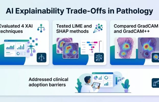 ai explanations for cancer diagnosis face trade offs