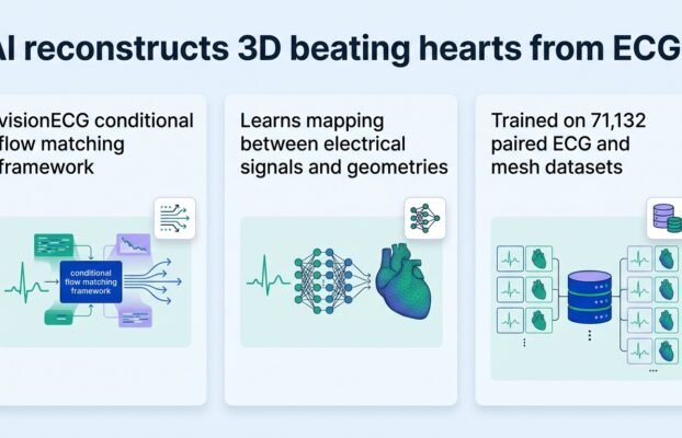 ai reconstructs 3d beating hearts from ecgs